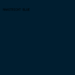 001e30 - Maastricht Blue color image preview