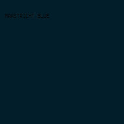 021E2B - Maastricht Blue color image preview