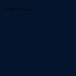 03142c - Maastricht Blue color image preview