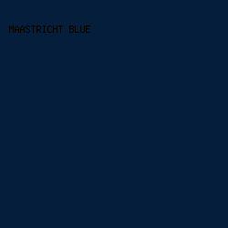 041E3B - Maastricht Blue color image preview
