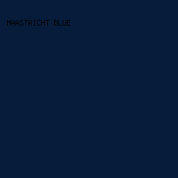 061c3a - Maastricht Blue color image preview