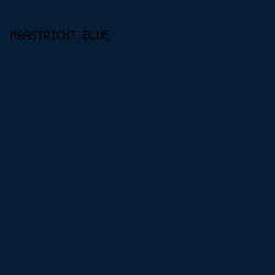 061d37 - Maastricht Blue color image preview