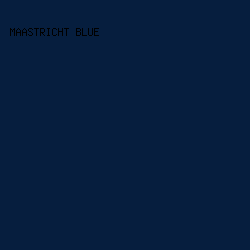 061e3e - Maastricht Blue color image preview