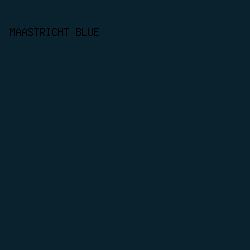 0a222d - Maastricht Blue color image preview