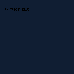 101e33 - Maastricht Blue color image preview