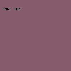 865b6b - Mauve Taupe color image preview