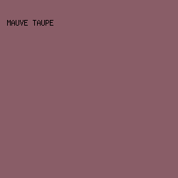 895d67 - Mauve Taupe color image preview