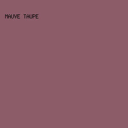 8C5D69 - Mauve Taupe color image preview