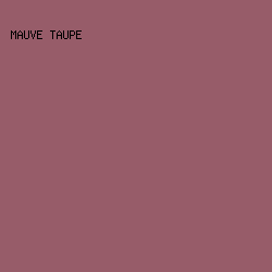 975C69 - Mauve Taupe color image preview