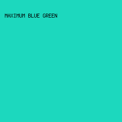 1CD8BE - Maximum Blue Green color image preview
