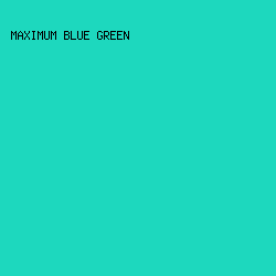 1DD8BE - Maximum Blue Green color image preview