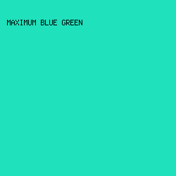 1FE1BC - Maximum Blue Green color image preview
