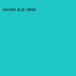 20C7C7 - Maximum Blue Green color image preview