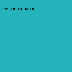 24B3BB - Maximum Blue Green color image preview