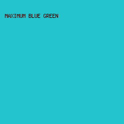 24C4CF - Maximum Blue Green color image preview