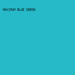 26B9C8 - Maximum Blue Green color image preview