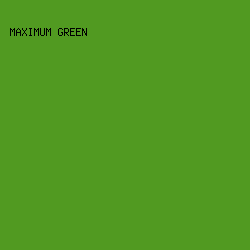 519A21 - Maximum Green color image preview
