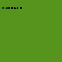 56941e - Maximum Green color image preview