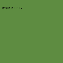 5E8C41 - Maximum Green color image preview