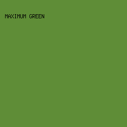 5F8D37 - Maximum Green color image preview