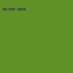 5d9025 - Maximum Green color image preview