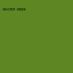 5e8623 - Maximum Green color image preview