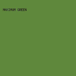 60883c - Maximum Green color image preview