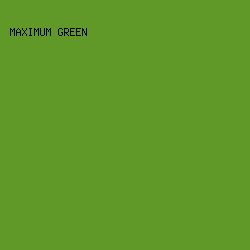 609928 - Maximum Green color image preview