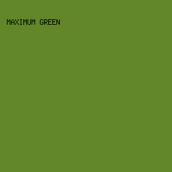 618728 - Maximum Green color image preview