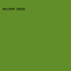 628E2A - Maximum Green color image preview
