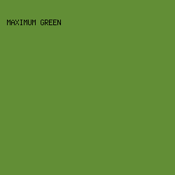 628e36 - Maximum Green color image preview