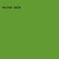 629B31 - Maximum Green color image preview