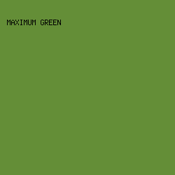 648E37 - Maximum Green color image preview