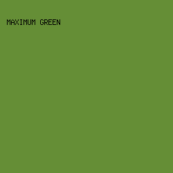 658E36 - Maximum Green color image preview