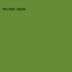 658d38 - Maximum Green color image preview