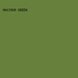 67813D - Maximum Green color image preview