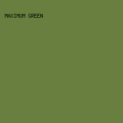 697f3f - Maximum Green color image preview
