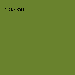 69822D - Maximum Green color image preview
