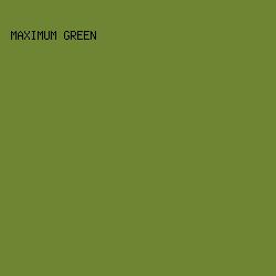 6E8533 - Maximum Green color image preview