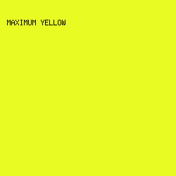 E8FC24 - Maximum Yellow color image preview