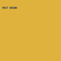 DEB33C - Meat Brown color image preview