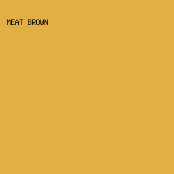E1AF44 - Meat Brown color image preview