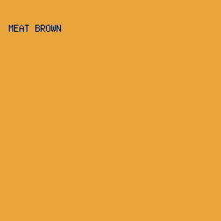 E9A43C - Meat Brown color image preview