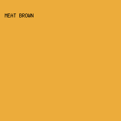 ECAC3B - Meat Brown color image preview