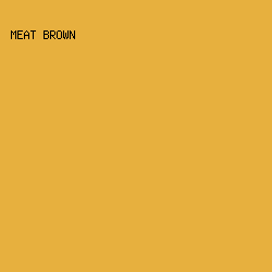 e7b03e - Meat Brown color image preview