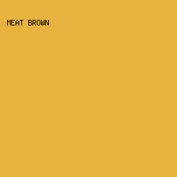e7b33e - Meat Brown color image preview