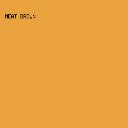 e9a23e - Meat Brown color image preview