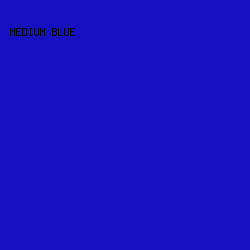 1510C2 - Medium Blue color image preview