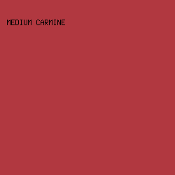 B13840 - Medium Carmine color image preview