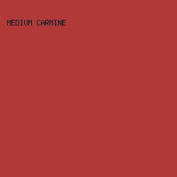B13937 - Medium Carmine color image preview